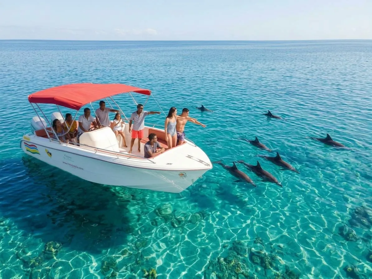 Dauphins nageant près du bateau